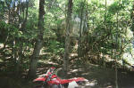 ATV Trails