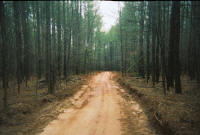 Durhamtown Plantation Dirt Bike