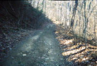 Coal Creek ATV OHV