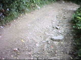 ATV Trails