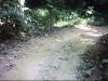 ATV Trails